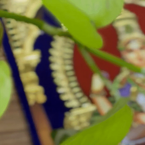 Goddess Saraswati - Online Course July 2027